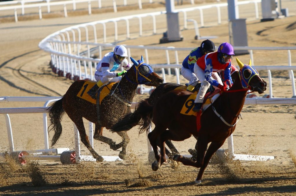 Which is Best Odds for Horse Racing: Pro Tips to Win in India (2026)