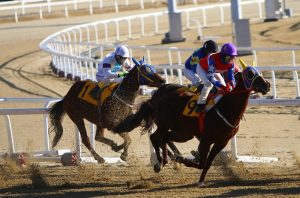 Which is Best Odds for Horse Racing: Pro Tips to Win in India (2026)